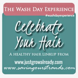 The Wash Day Experience